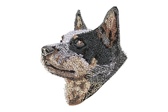 Australian Cattle Dog Embroidery Design